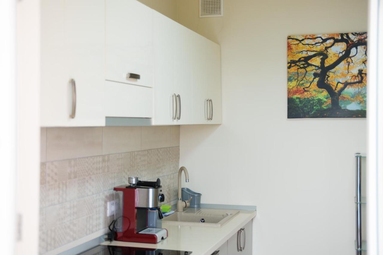 Konstanzer95 Apartment ยาช ภายนอก รูปภาพ